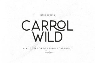 Carrol Wild: A Versatile Display Font for Creative Projects